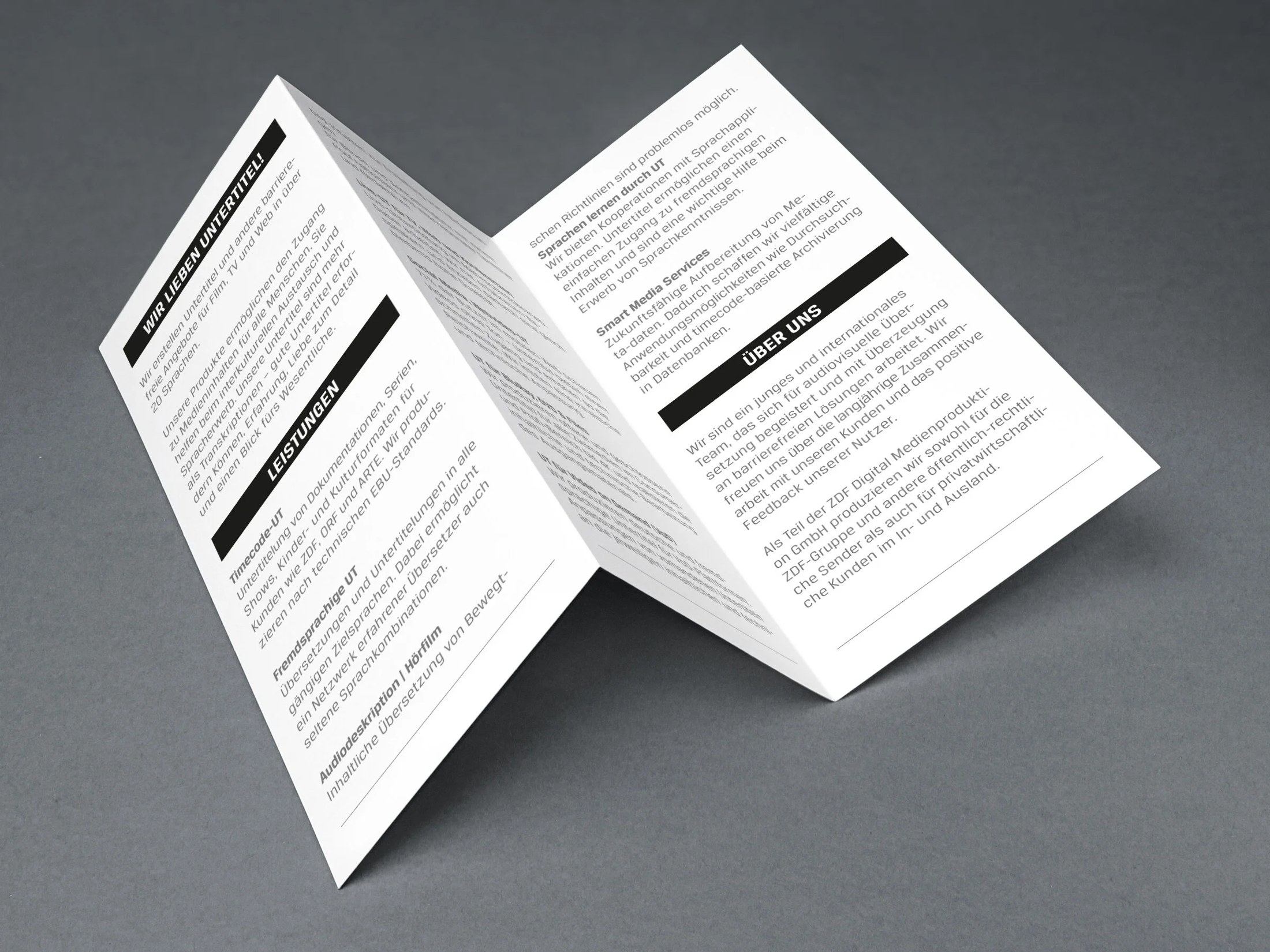 Rückseite des Kampagnen-Flyers
